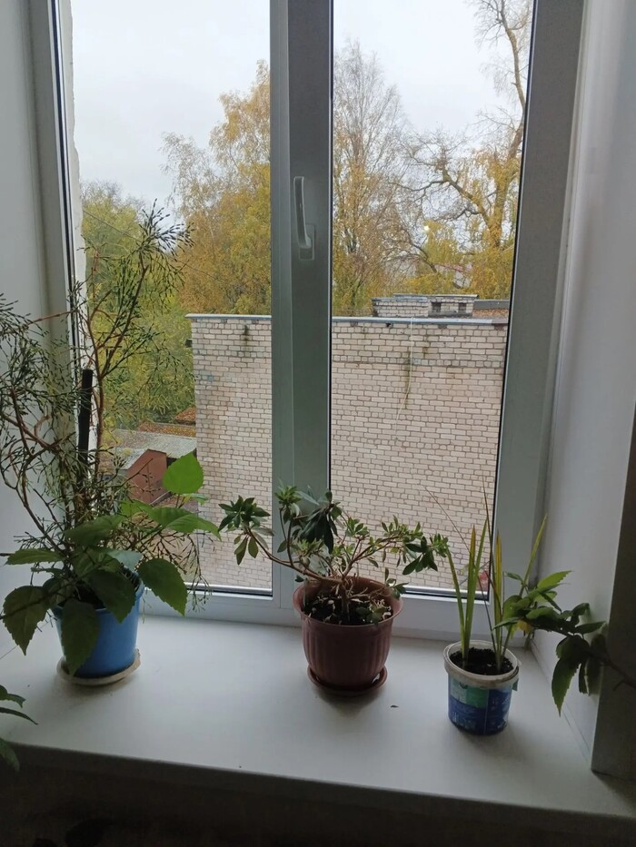 Осень... - 06.10.26 10:38