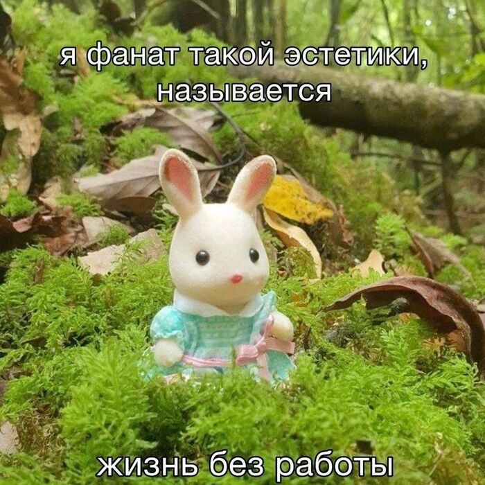 Жаль только что все в этом мире платное - 13.05.26 19:52