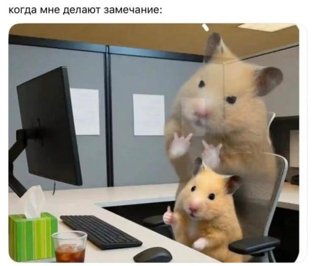 Всегда так)) - 12.02.26 07:27