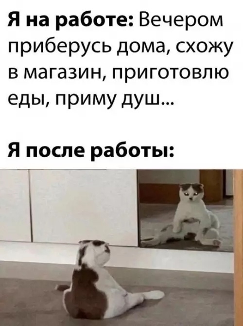 Это каждый день так... - 08.02.26 19:13