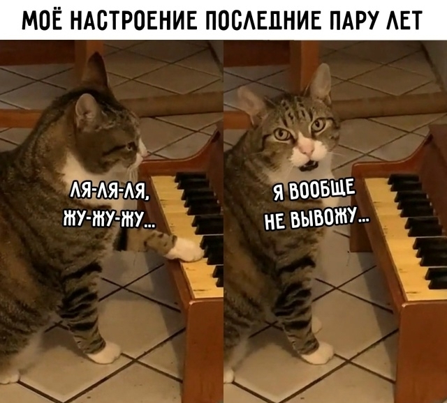 Котик, держись! - 28.03.26 10:42