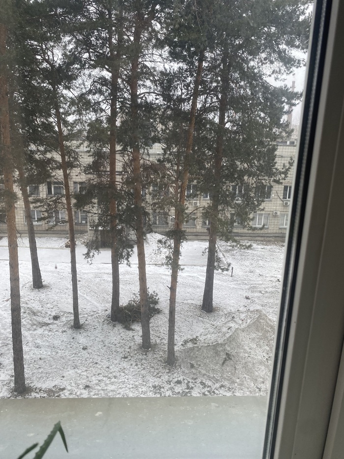 Весна в Сибири - 16.04.26 09:33