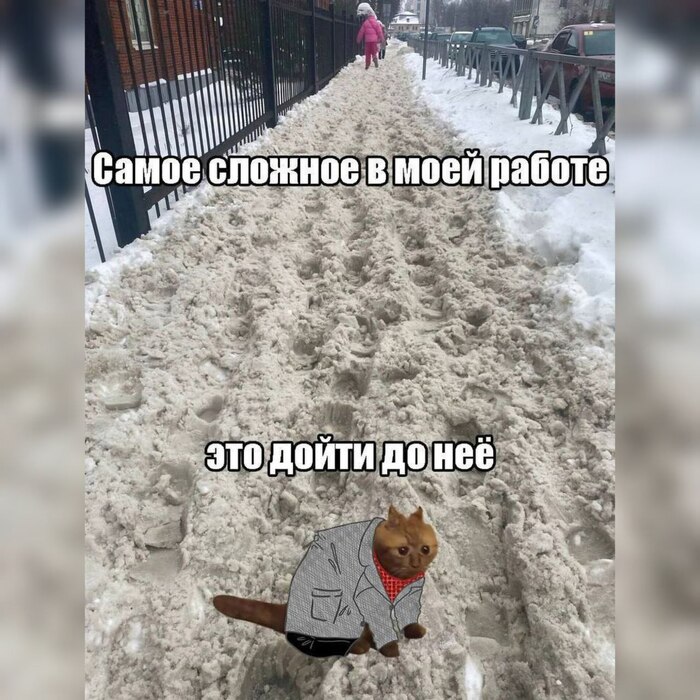 Сама природа против - 29.01.26 10:09