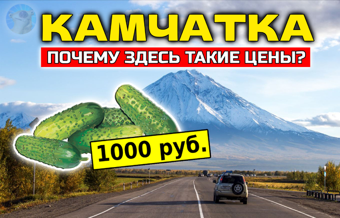 Почему на Камчатке всё так ДОРОГО? И путешествия, и йогурты... - 23.05.26 10:08