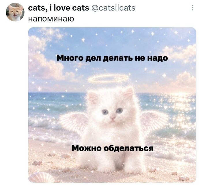 Дело говорит - 06.10.26 11:13