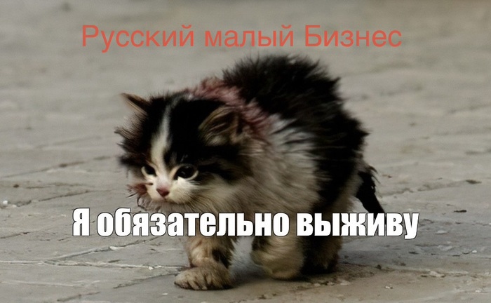 Коротко о малом бизнесе сегодня - 08.04.26 18:27