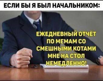 Понедельниковая порция мемов - 06.04.26 21:10