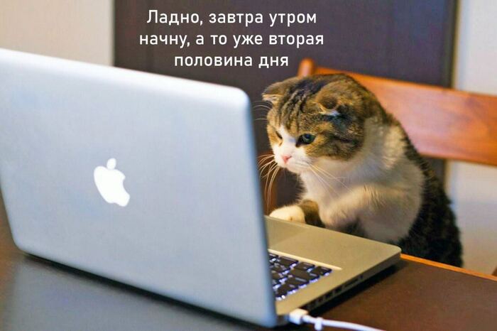 Когда устал - 12.09.26 12:00