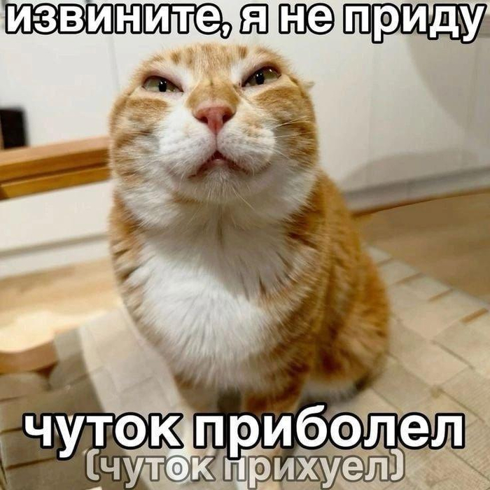 Когда не хочется на работу - 06.06.26 23:45