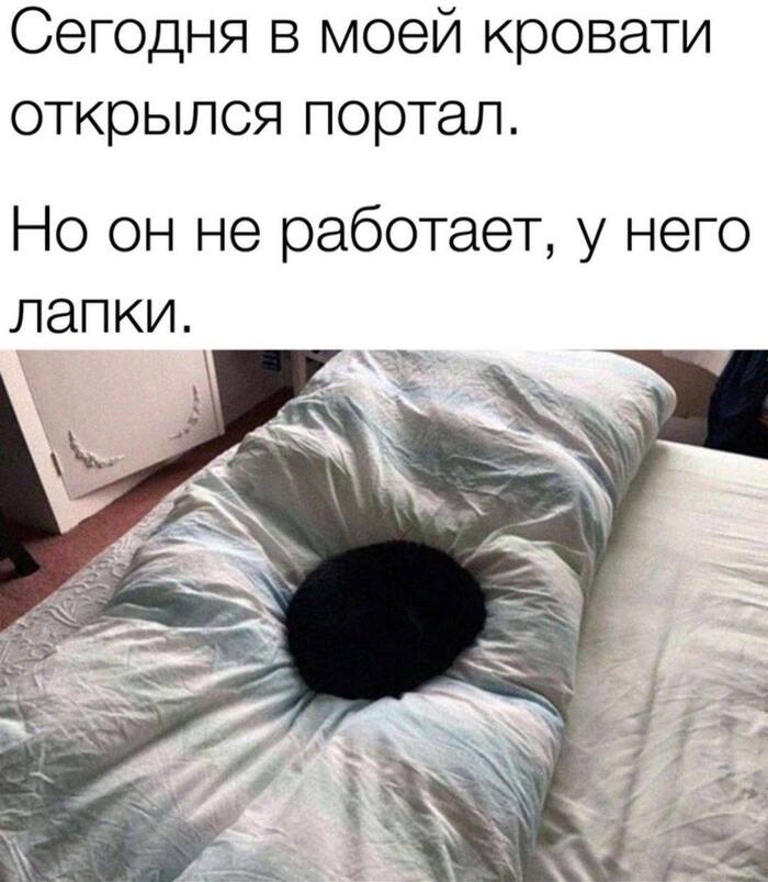 Тоже хочу такое оправдание не ходить на работу - 13.02.26 10:57
