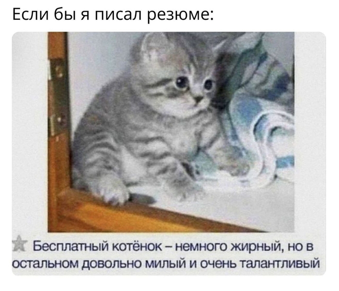 Честное резюме - 30.03.26 06:03