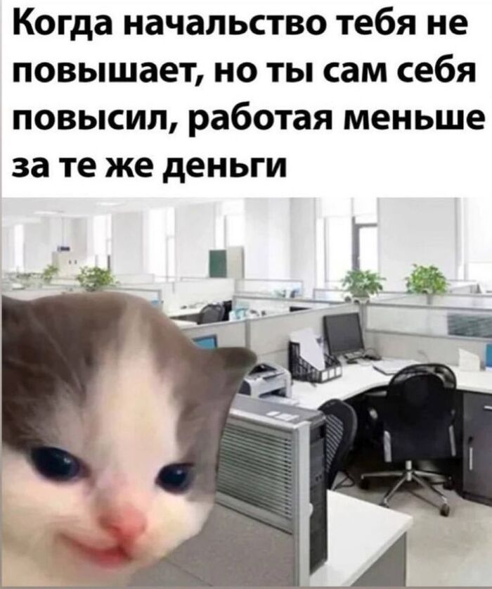 Мой личный карьерный рост - 31.05.26 23:14