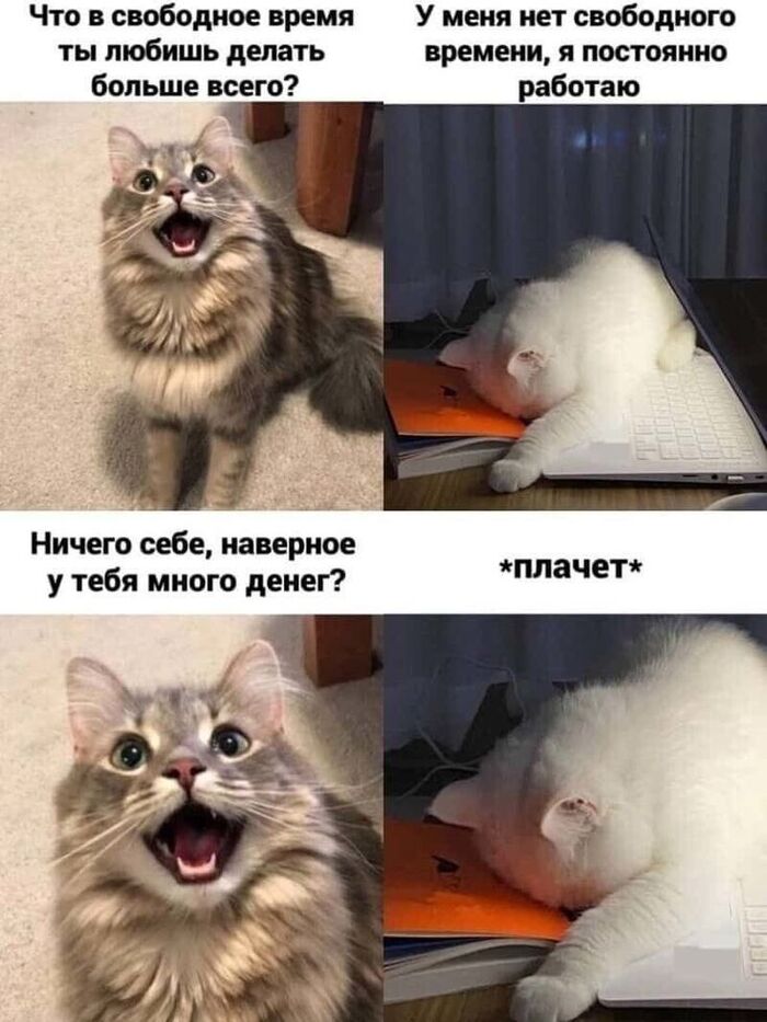 *Плачет* - 28.05.26 12:43