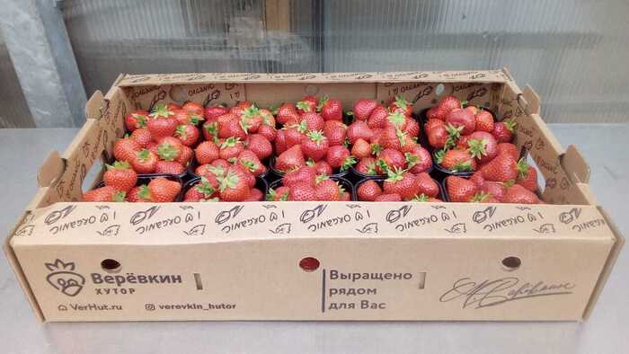 Ответ на пост &laquo;Бизнесмены у нас такие милые и непосредственные :) А мне всегда казалось, что магазин цветов - это очень странные и стремный бизнес&raquo; - 09.03.26 19:56