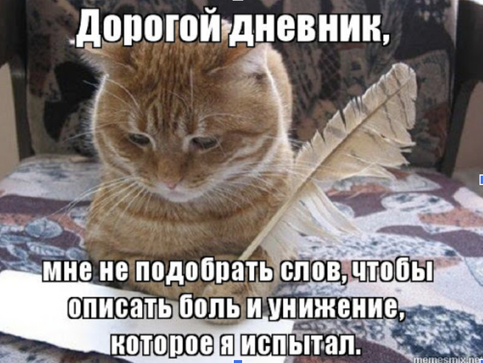 БЕЛЬЕ ЛЮБОВНИЦЕ И ТОРТ В ВИДЕ ЧЛЕНА: самые странные рабочие задачи в моей жизни - 09.04.26 17:49
