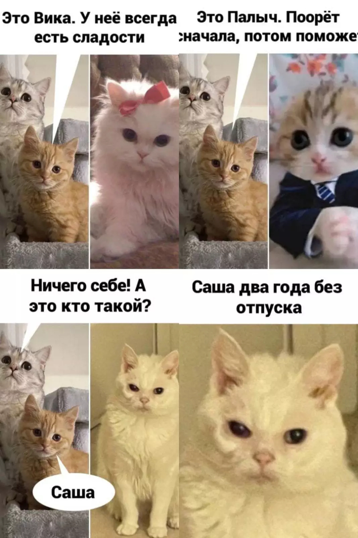 Лучший сотрудник - 17.10.26 15:20