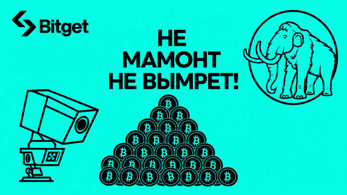 Как попробовал заработать Bitget торгуя криптовалютой 2026 году - 31.08.26 17:23