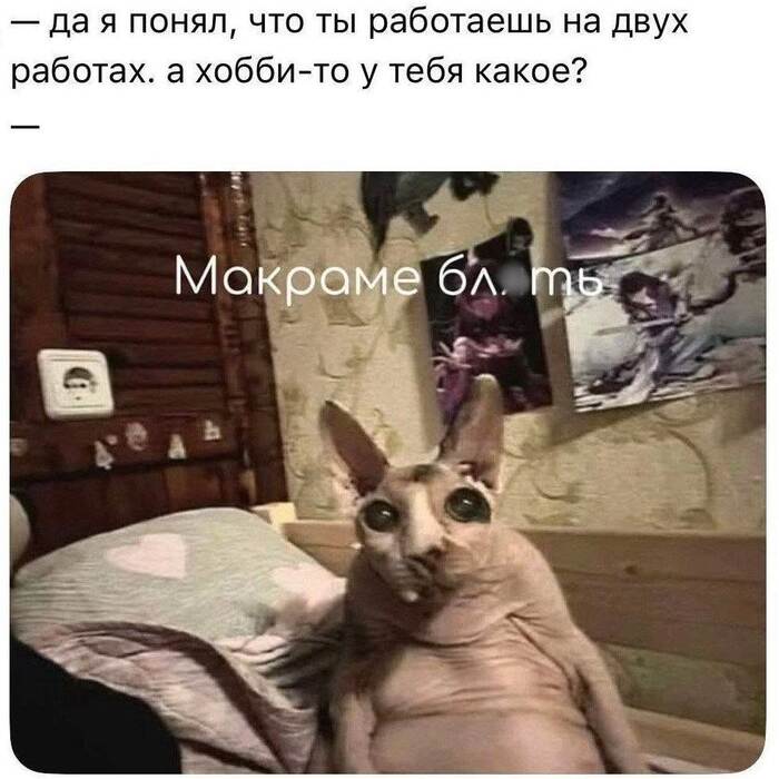 А у вас какое хобби? - 06.10.26 15:17