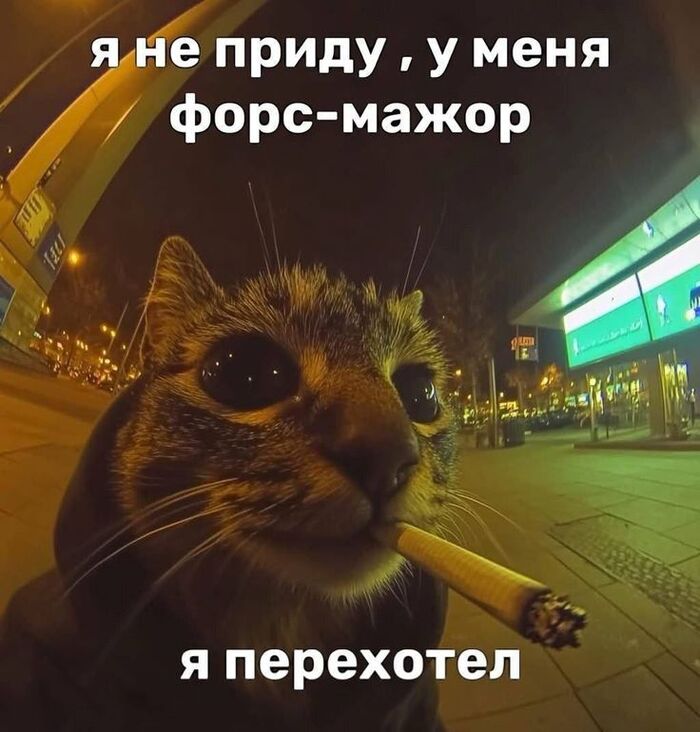 Токсичный диалог: как быстро понять, что вы в "зомбирежиме" разговора, и выбраться - 01.03.26 20:11