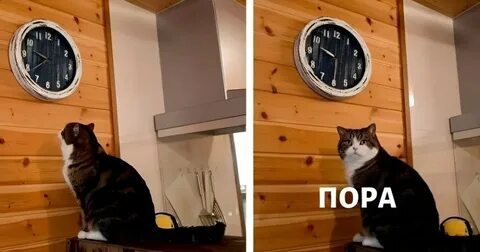 Ответ Freeze64 в &laquo;Новая владелица попыталась уволить меня после 14 лет успешной работы, но я тайком записал наш разговор на диктофон и разгромил её в суде&raquo; - 10.09.26 11:43