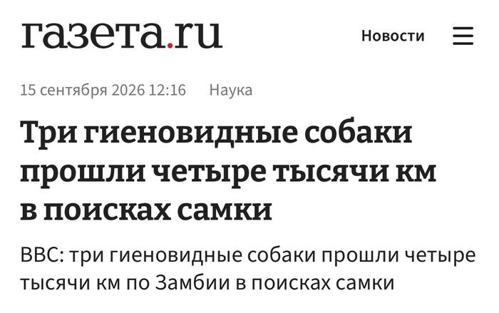 Продолжение поста &laquo;Грустно всё это...&raquo; - 15.09.26 22:16