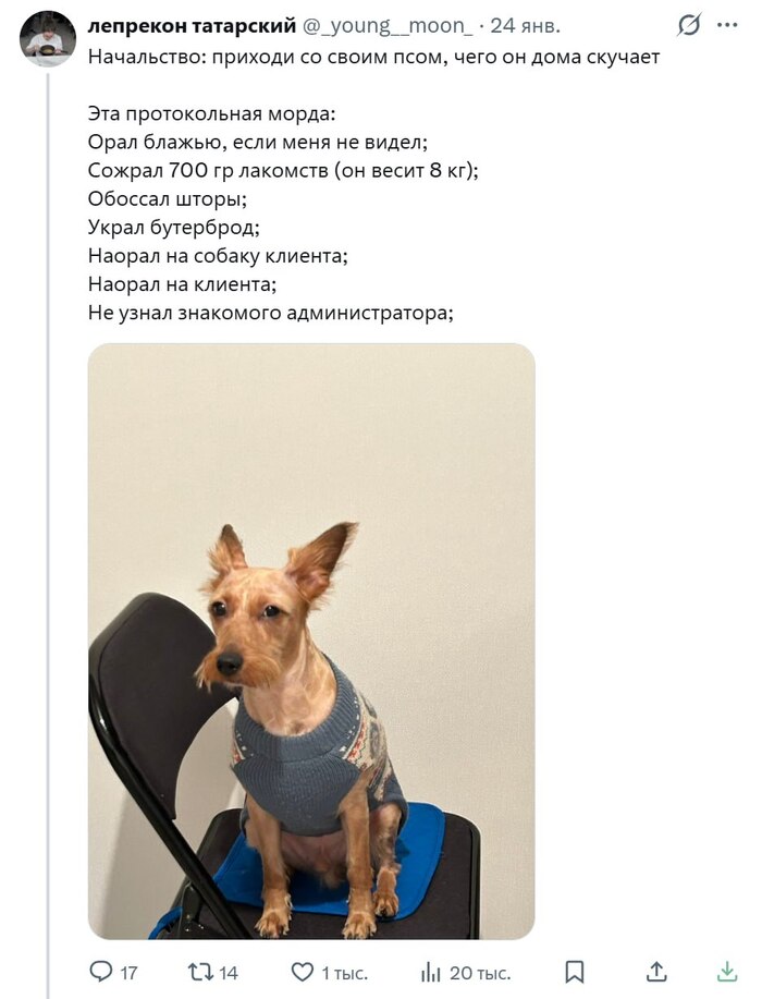 Протокольная рожа - 28.01.26 12:09