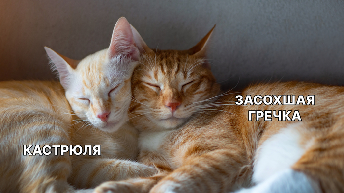 Как перестать тратить время на кухне. 3 бытовые привычки, которые пора менять