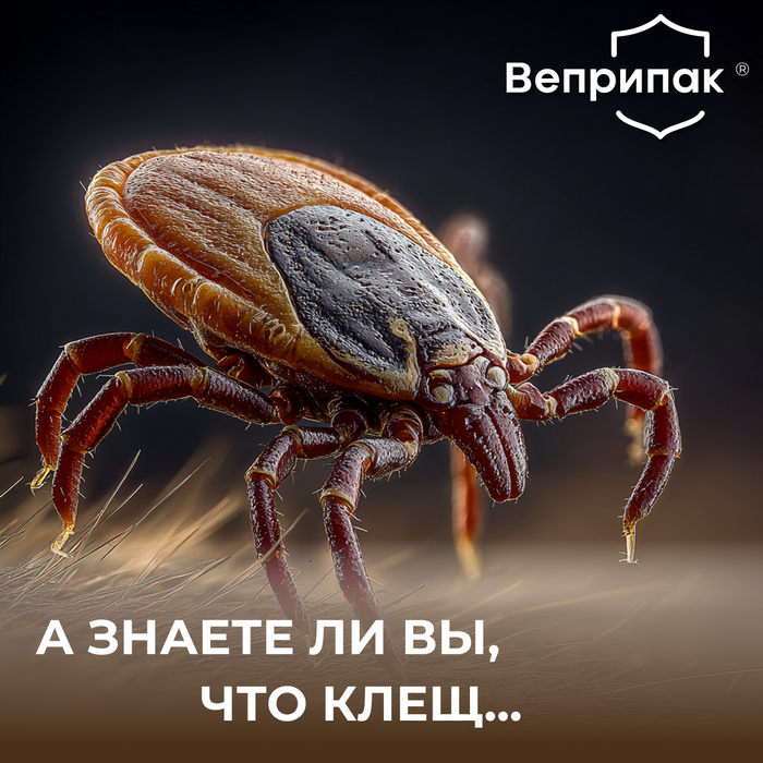 Веприпак препарат от блох и клещей для собак