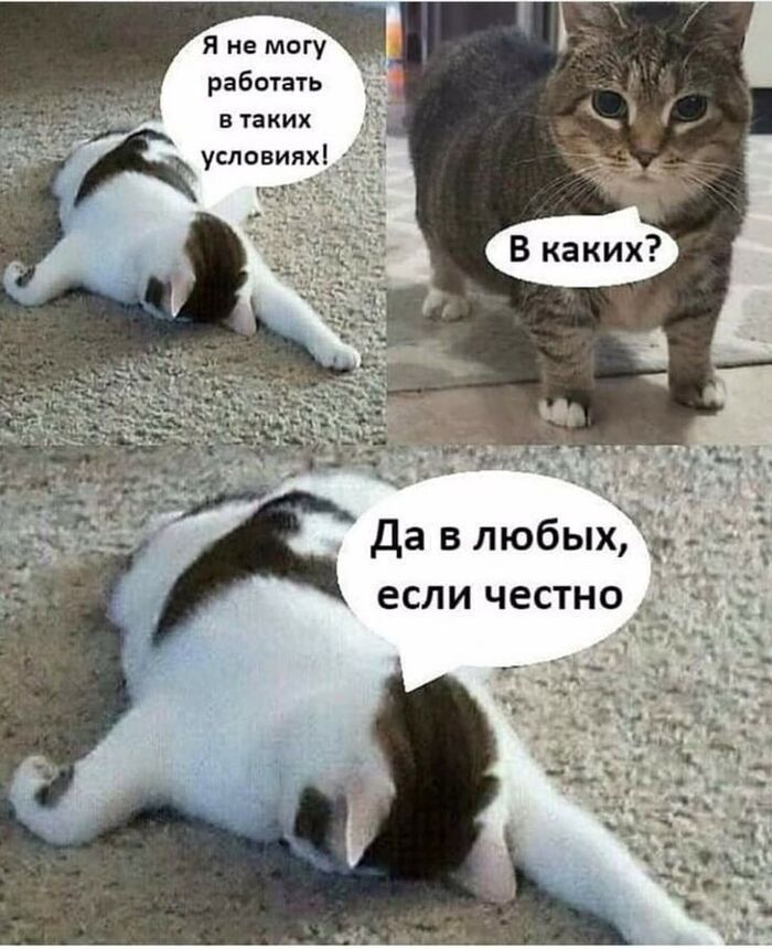 Я в первый день на работе - 23.09.26 12:16