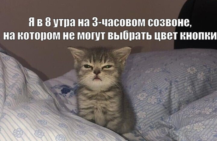 Если у вас больше пяти созвонов в день — срочно увольняйтесь. Ну или попробуйте это - 13.02.26 13:29