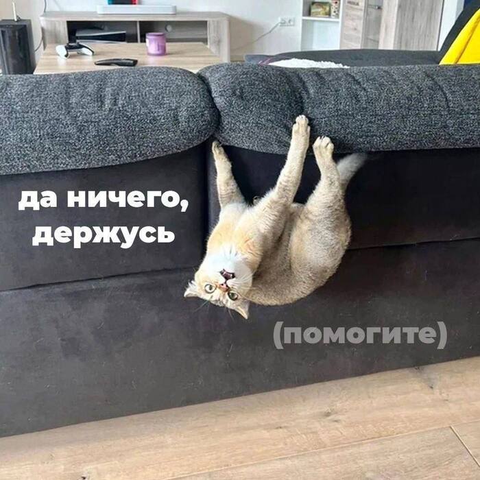 Что-то как-то хочу теплоты и отдыха - 06.03.26 11:54