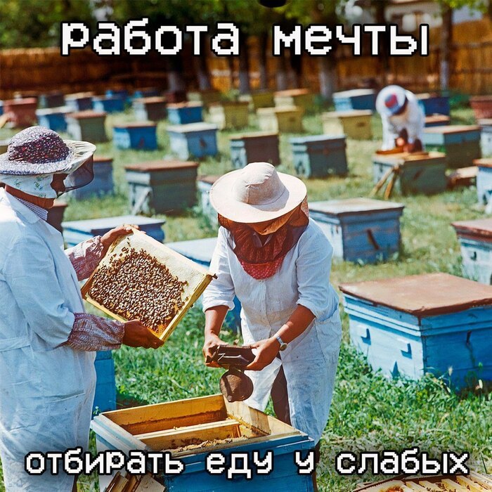 Согласны????? - 11.02.26 08:37