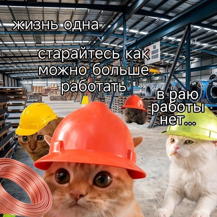 Вот такая фигня, котятки - 20.10.26 11:40