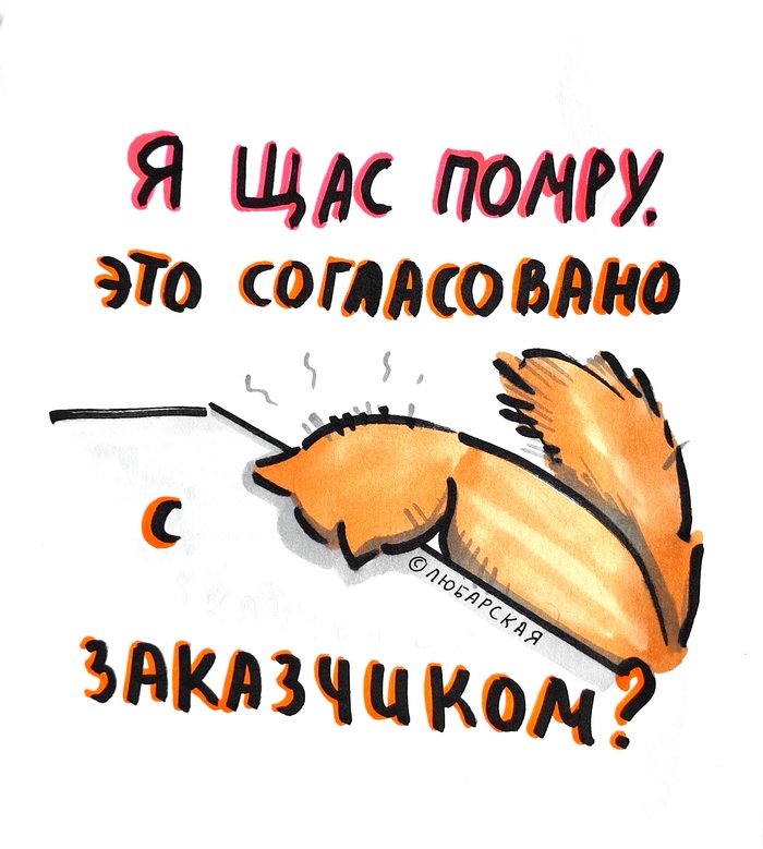 Платишь копейки — получаешь сюрпризы - 06.04.26 16:50