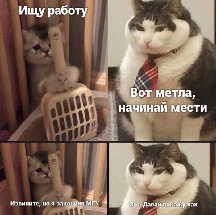 Рынок труда сегодня - 29.04.26 08:43