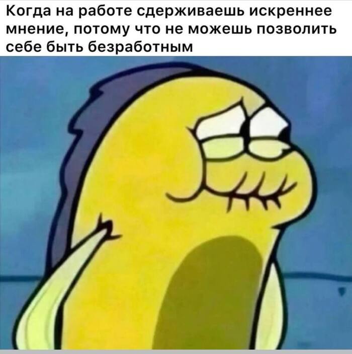 Добро пожаловать в социум! - 09.02.26 11:09