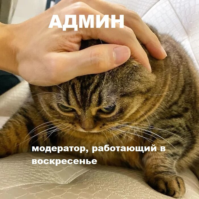 Мой дозор окончен - 13.09.23 08:50