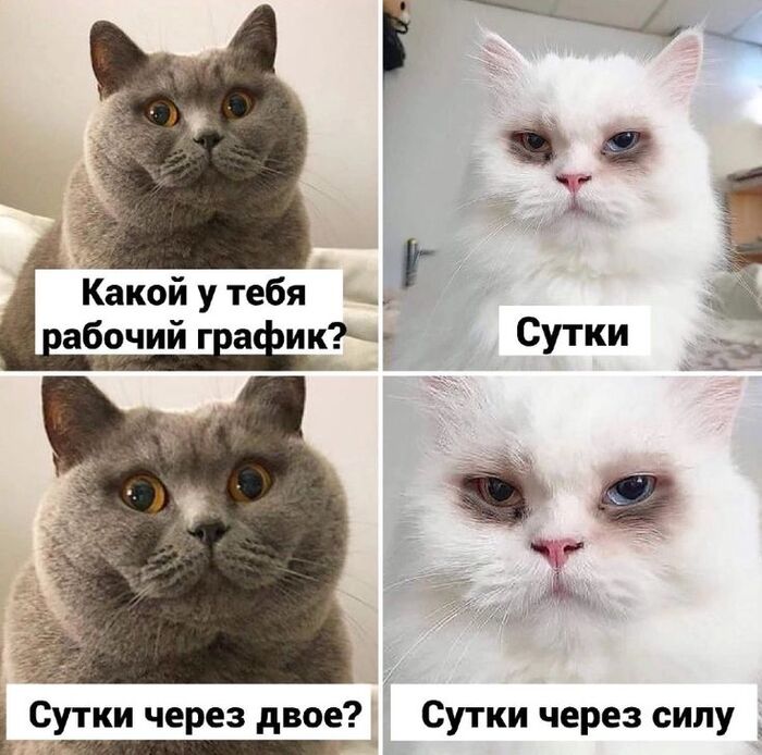 Нужен отпуск - 17.10.26 16:02