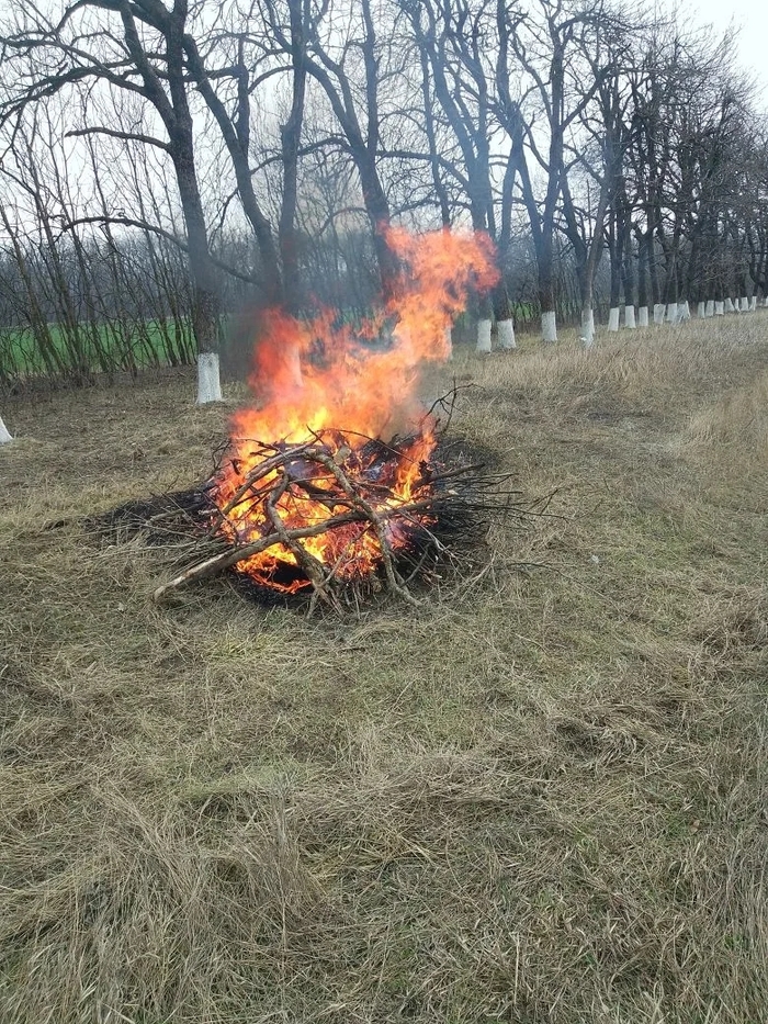 Уборка лесополки и тимбилдинг - 25.03.26 12:19