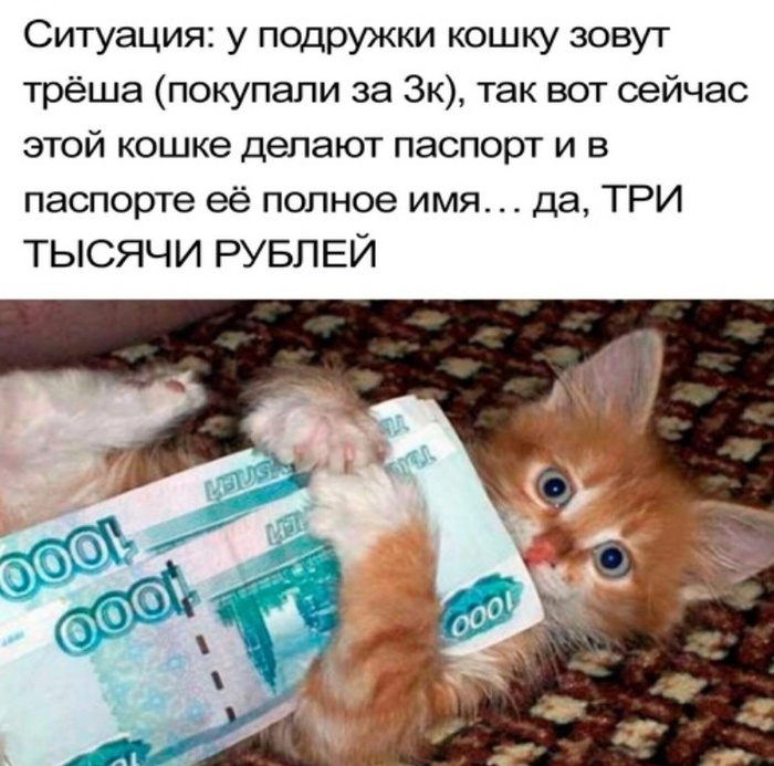 Гениально - 14.10.26 10:46