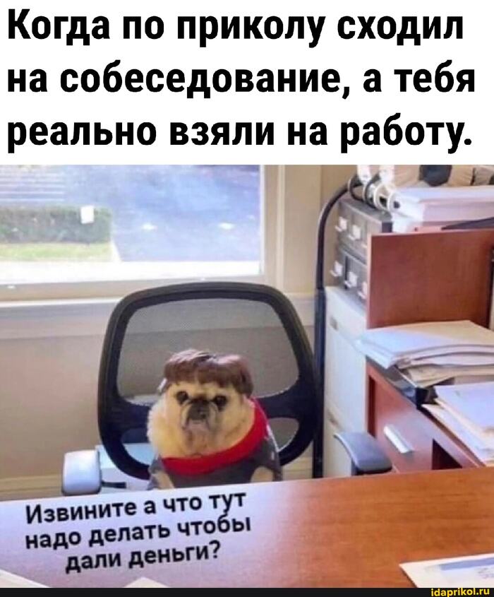 О как - 29.08.26 22:07