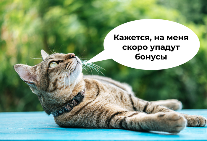 Авито и Сбер объединили усилия для поддержки креативных предпринимателей - 02.04.26 12:55