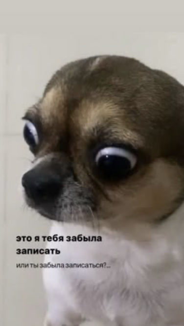 МНЕ НУЖНО СОБРАТЬ ПОРТФОЛИО. КАК ЭТО СДЕЛАТЬ??? - 01.06.26 11:44