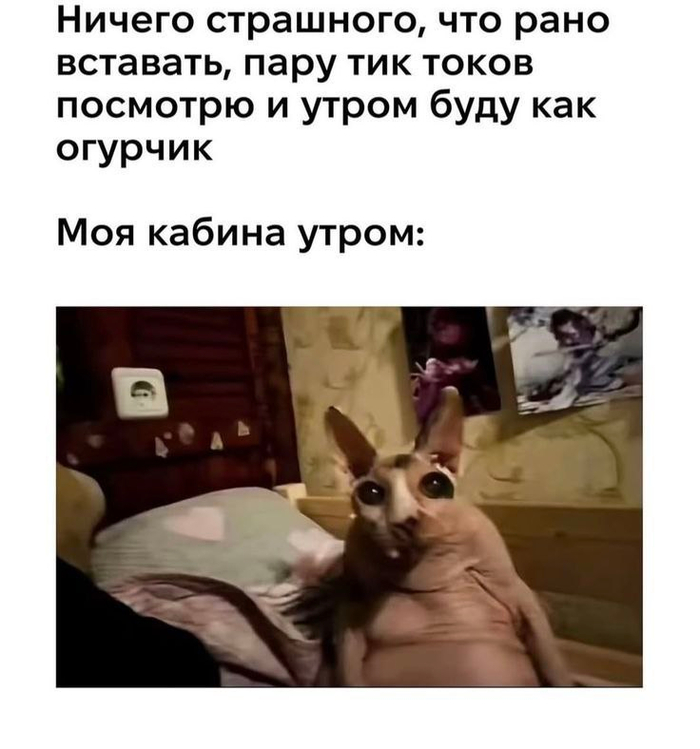 Машина времени к 5 утра - 24.01.26 22:05