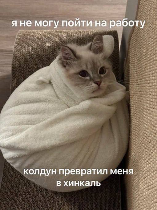 Понедельниковая порция мемов - 06.04.26 21:10