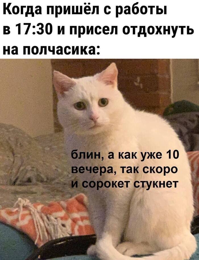 Кто-то может прийти с работы в 17-30 - 19.05.26 15:35