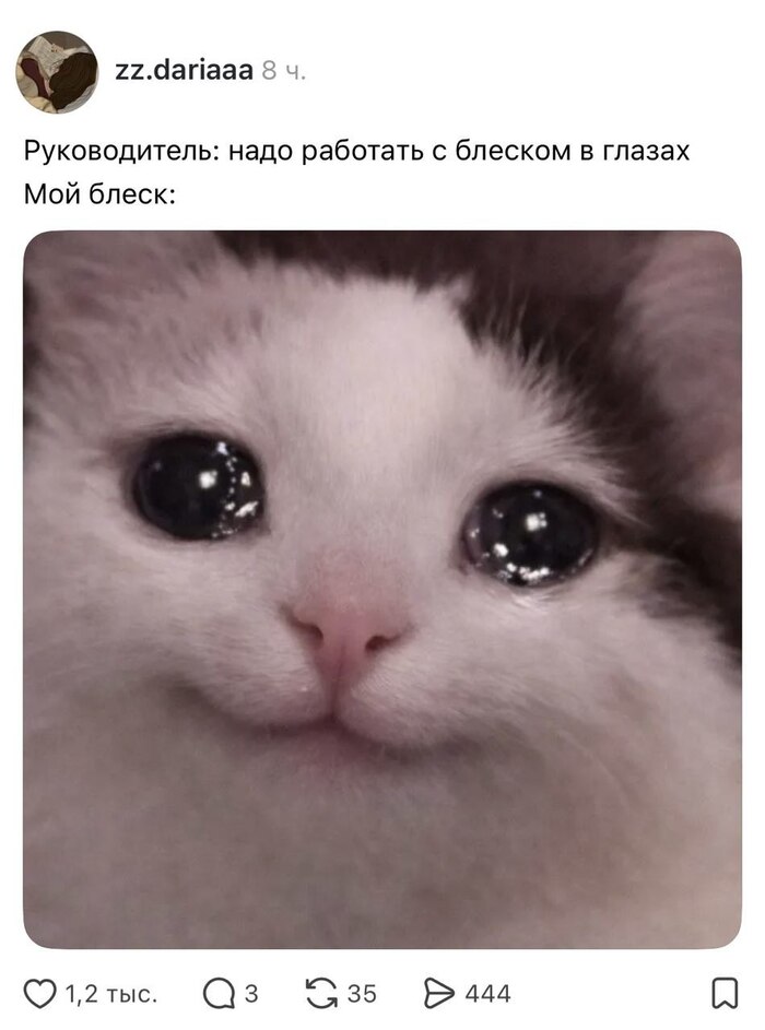 Когда хорошо справляешься с поставленной задачей, но есть нюанс - 06.06.26 08:58