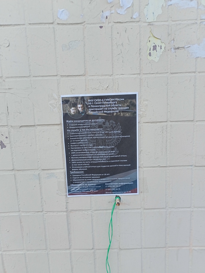 Цвет рекламы мне показался депрессивненьким - 12.05.26 11:34