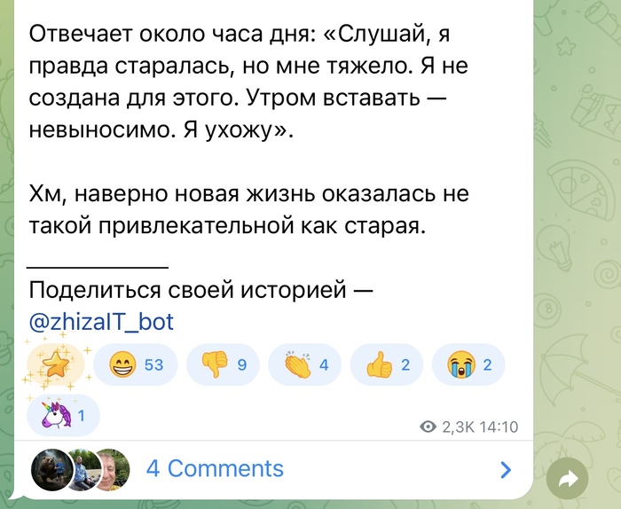 Из содержанки в ИТ сферу - 01.10.26 13:01