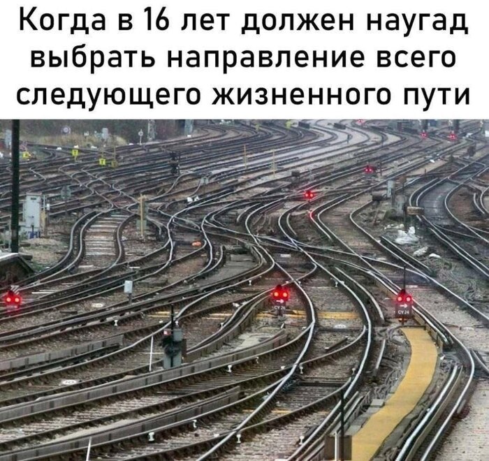 Когда пытаешься принять верное решение - 17.10.26 11:08